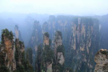 探索世界,来热水“暖柿子”别用了,农村2个土方法,3天就能脱涩又好吃问答平台寻找答案